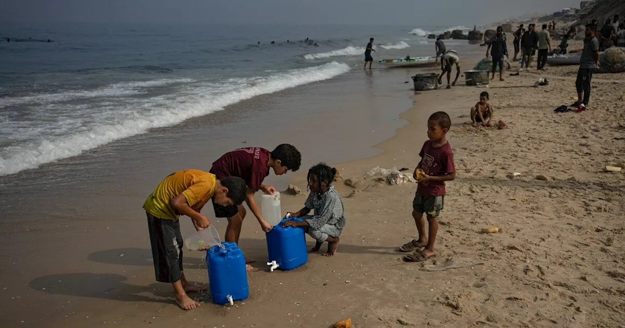 Vaccini anti-polio in arrivo a Gaza, ma l’Onu non può distribuirli: “Mancano carburante e…