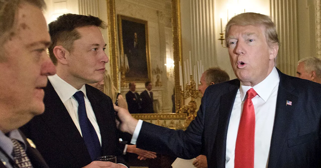 After Elon Musk Bends Knee to Donald Trump, Trump Throws Him Under the Bus