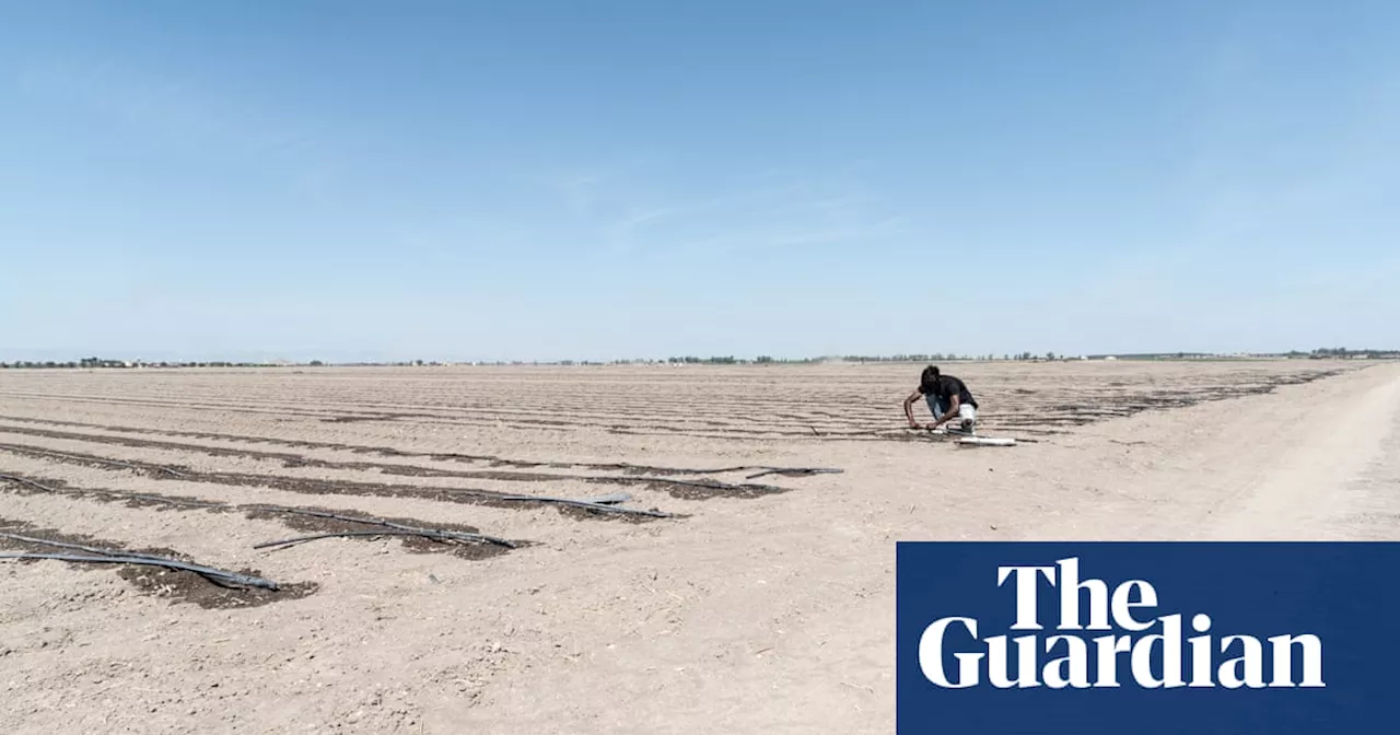 ‘Working here is hell’: latest death of farm worker in 40C heat shocks Italy