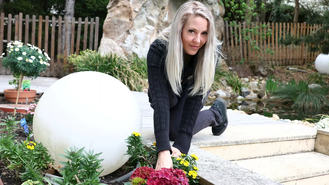  Auf wen Lugners Witwe Simone jetzt wirklich bauen kann