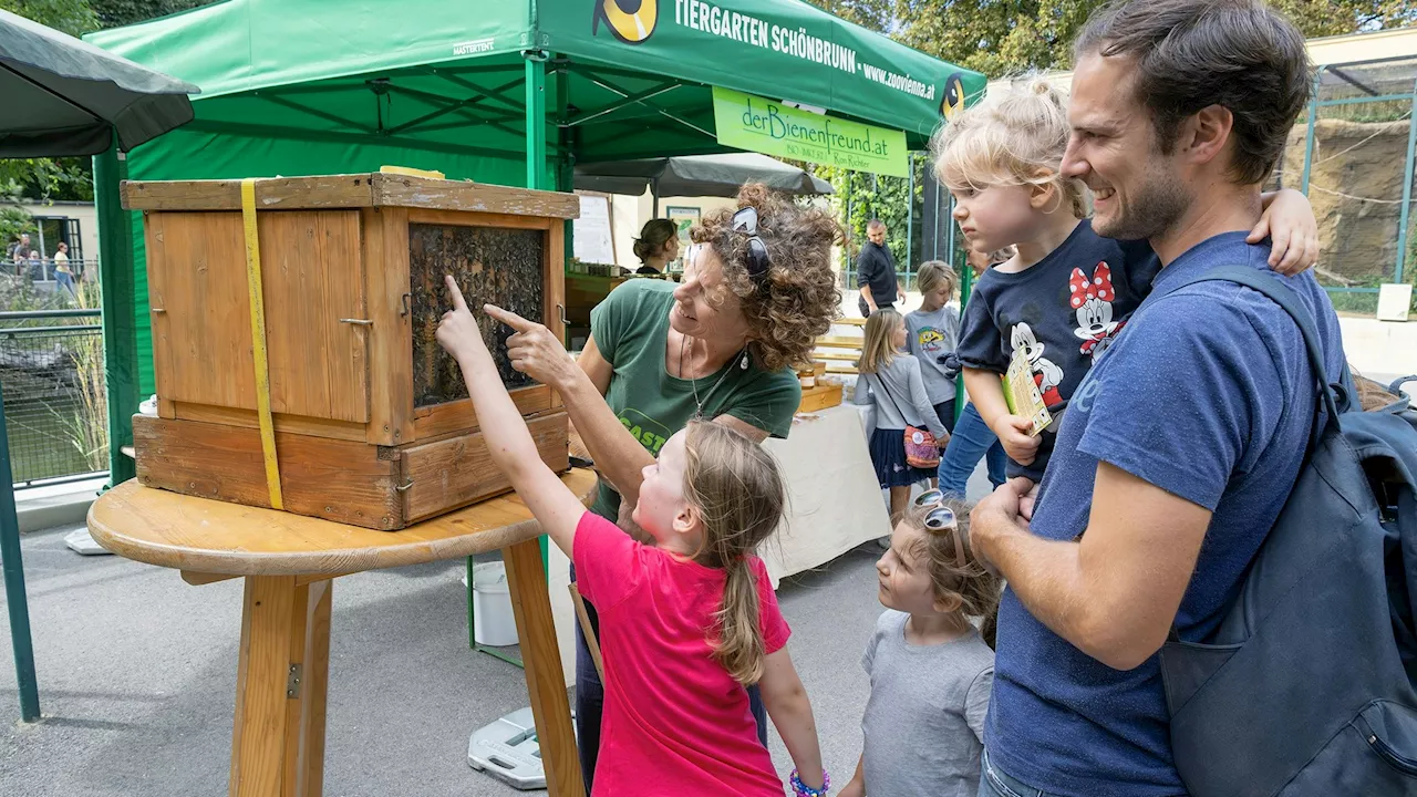  Deshalb sollte man am Wochenende in den Tiergarten