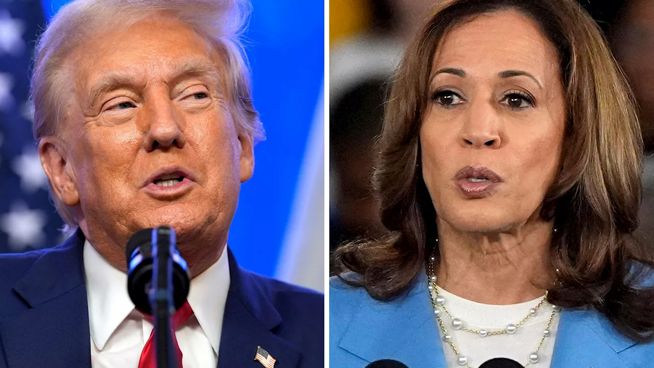 US-Präsidentschaftswahl - Trump und Harris streiten über Regeln für TV-Duell