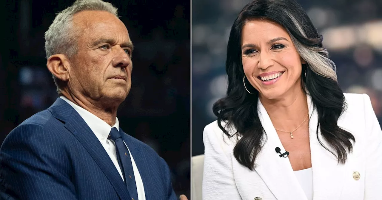 Trump Names Robert F. Kennedy Jr. And Tulsi Gabbard To His Transition Team