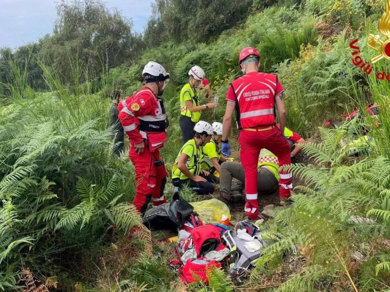 Beveva acqua piovana e parlava con una volpe: così l'88enne è sopravvissuta quattro giorni nei boschi