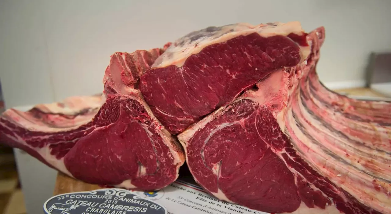 Mangiare carne rossa e lavorata aumenta il rischio di diabete: ecco i dati