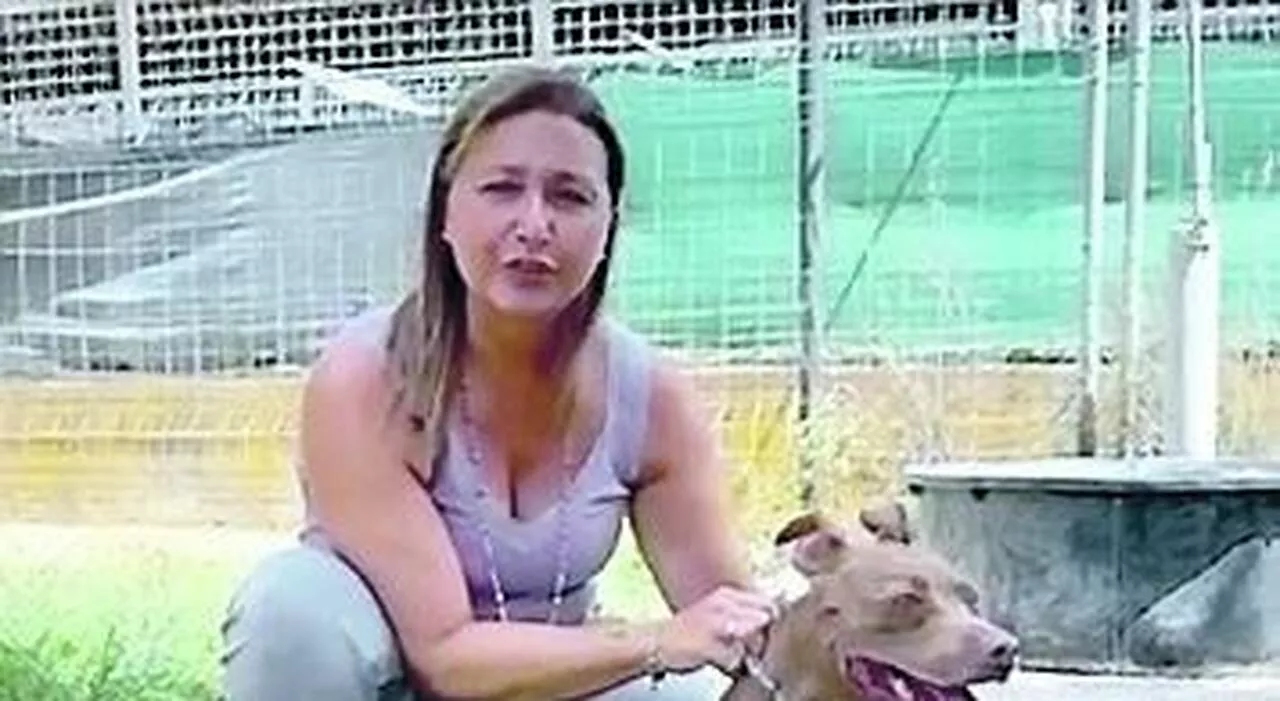 Roma, getta il cane in un cassonetto dei rifiuti: mesi dopo vuole riprenderselo