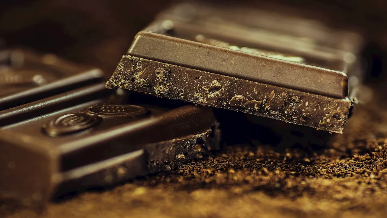 The future of chocolate is whole: Swiss scientists invent new method to use the whole fruit