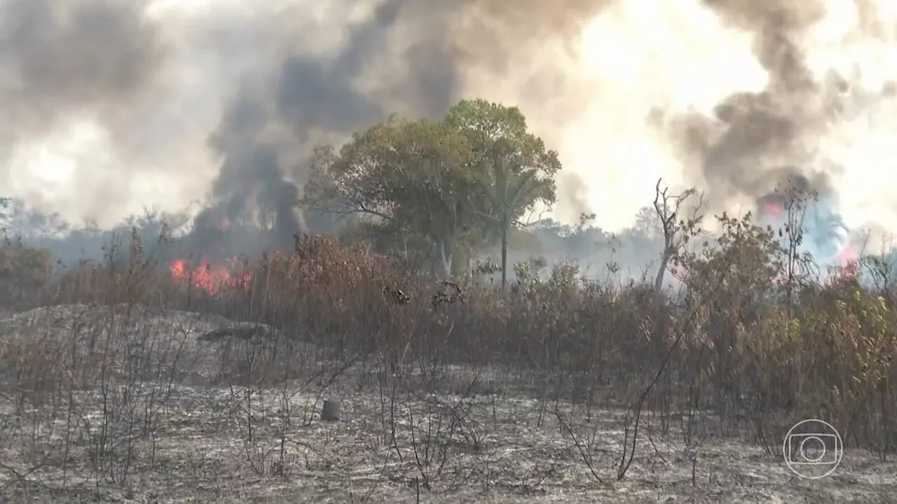 Tempo seco prolongado provoca número altíssimo de focos de incêndio no Acre e em Rondônia