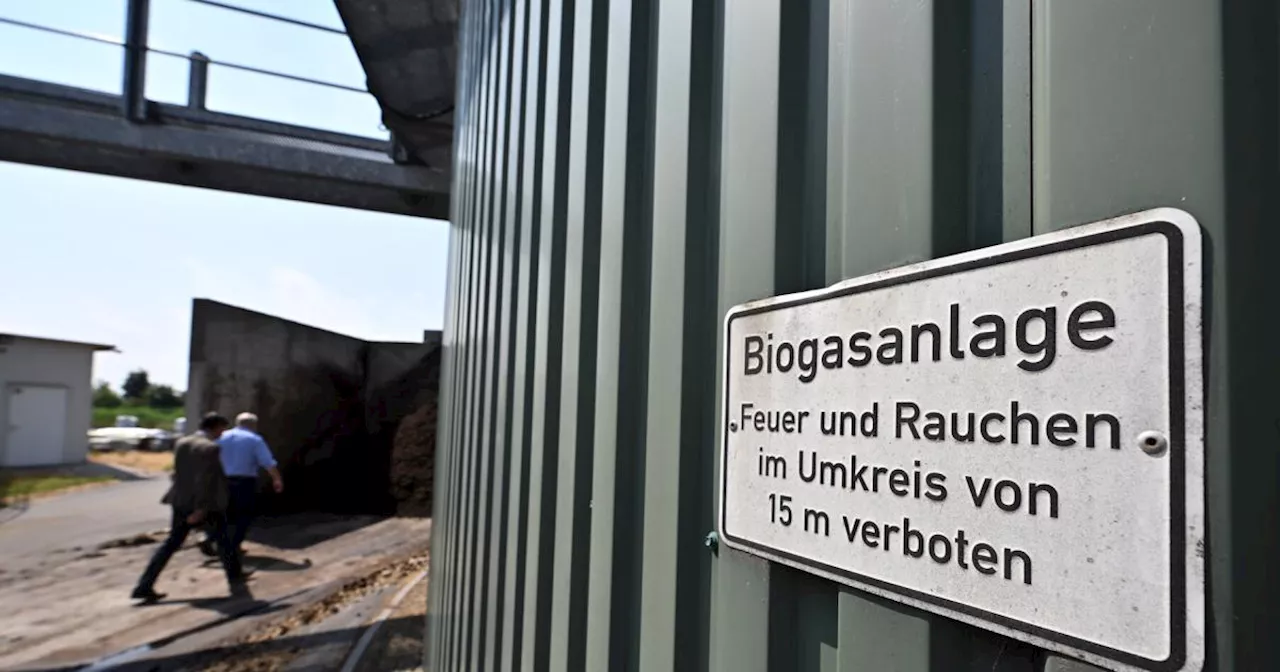 Grüne wollen Biogas-Gesetz noch bis September durchbringen