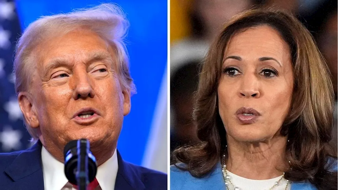 GOP support for Harris unlikely to sway Republicans but could swing independents: expert