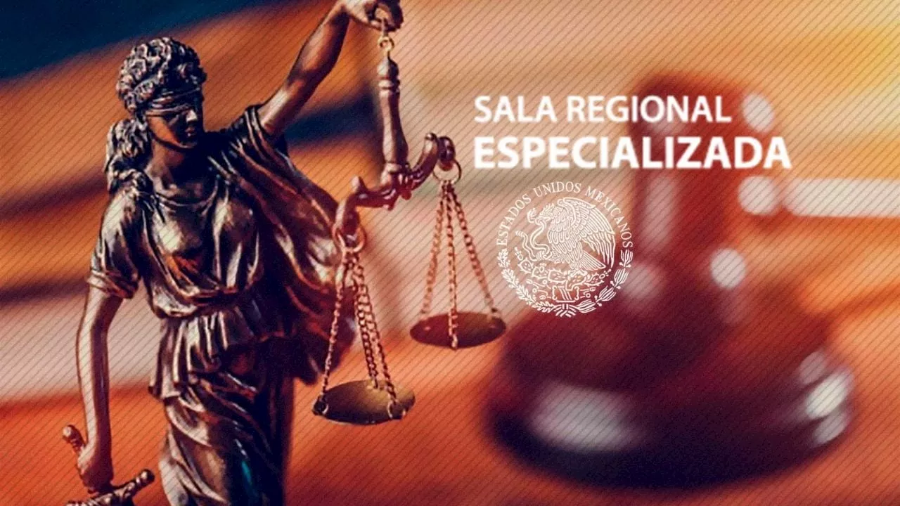 Importancia de la Sala Regional Especializada