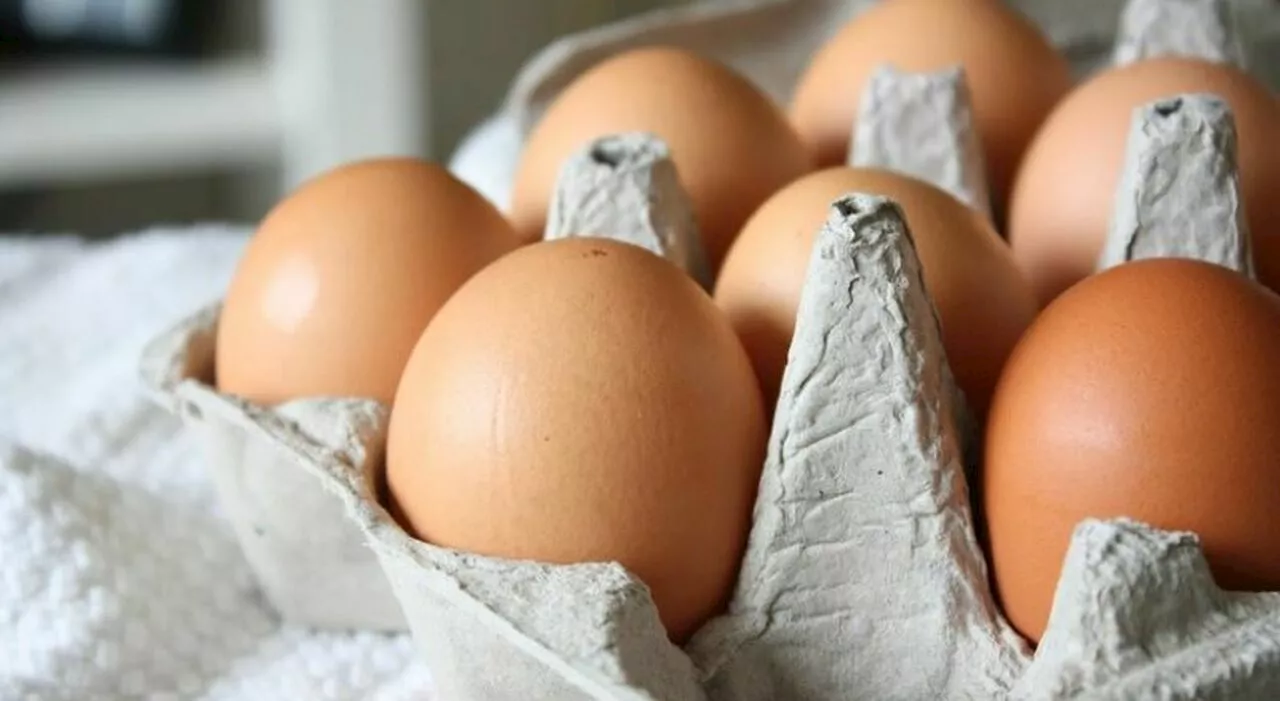 Salmonella nelle uova del supermercato, l'avviso del Ministero: «Non mangiatele». Ecco i lotti e i marchi inte