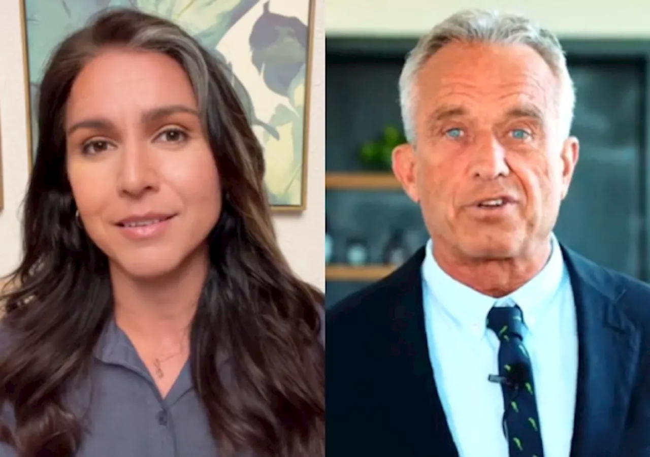 Trumps Gives Tulsi Gabbard, RFK Jr. Spots on Transition Team