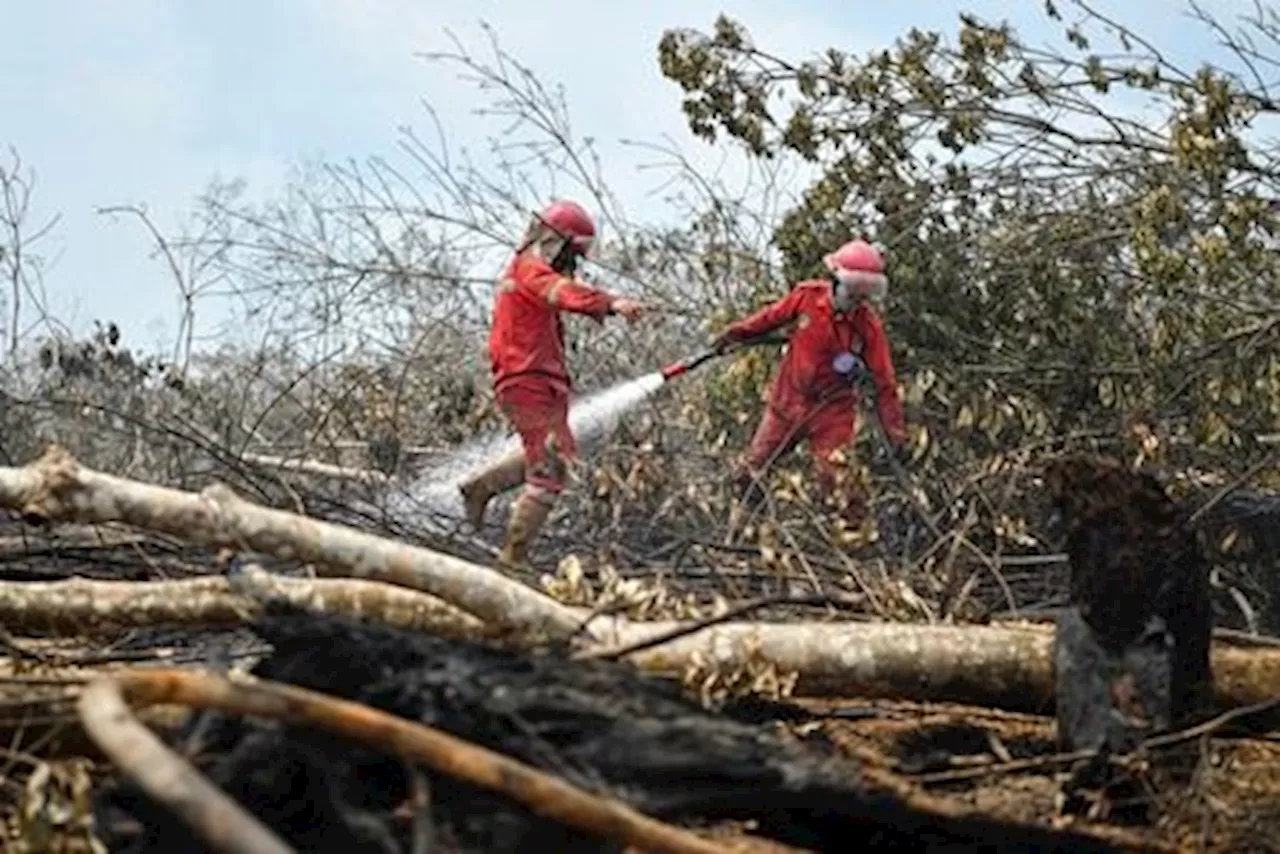 Tangani Karhutla, KLHK Minta Tim Supervisi di Daerah Bergerak