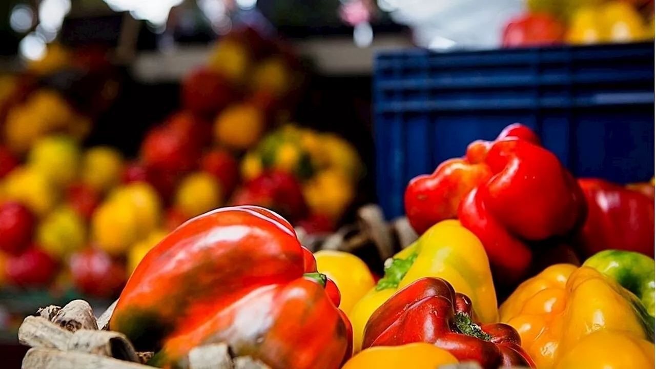 Sagre tra canederli e peperoni tra agosto e settembre