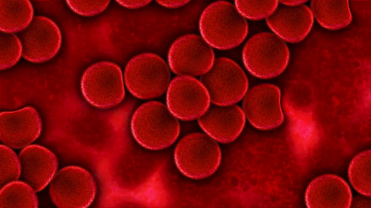 Demystifying the targeted removal of red blood cells