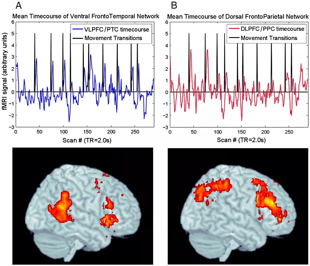 Tuning into transitions: How our brains cross musical boundaries