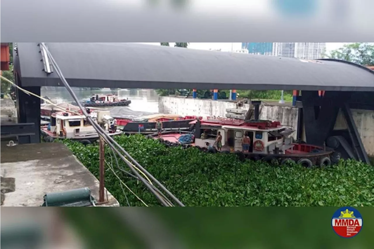 Pasig Ferry limits run due to water lilies