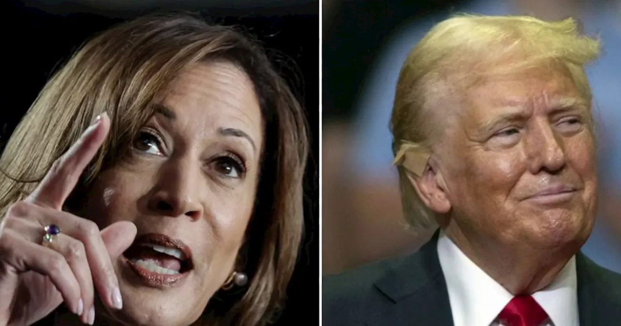 Donald Trump caves on debate threat, agrees to September 10 debate with VP Kamala Harris