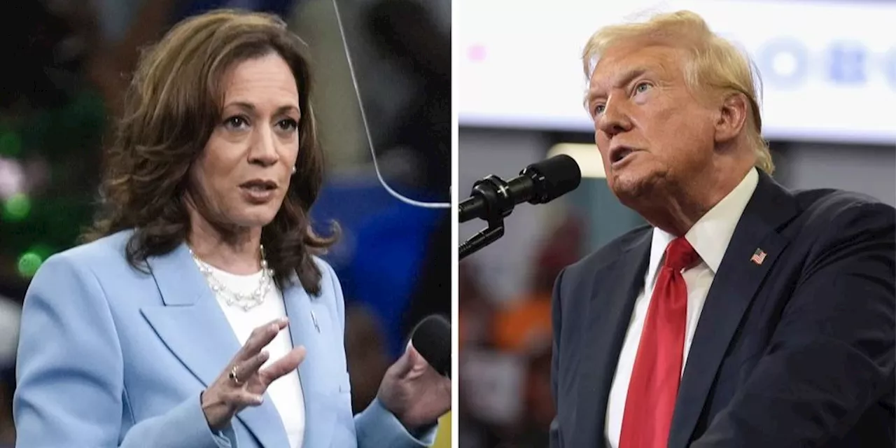 Kamala Harris und Donald Trump uneins über Regeln bei TV-Duell