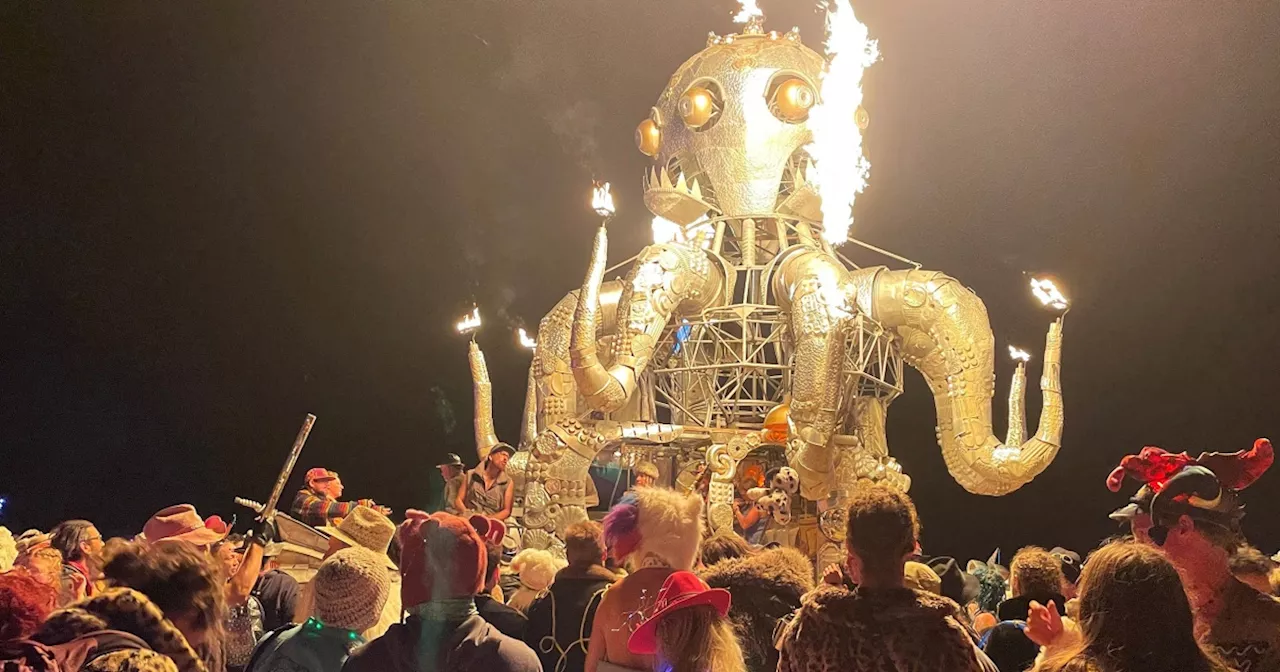 Woman's death at Burning Man is under investigation