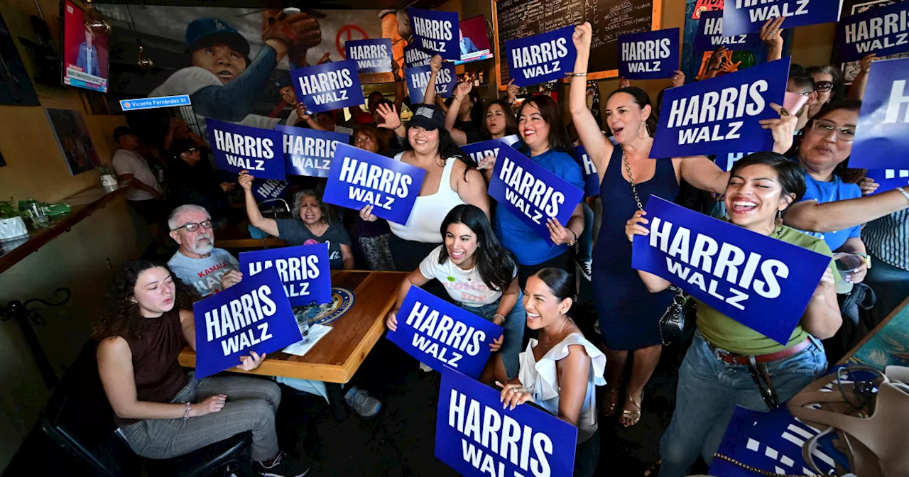 Democrats and progressives see more Latino young voters mobilizing for Harris