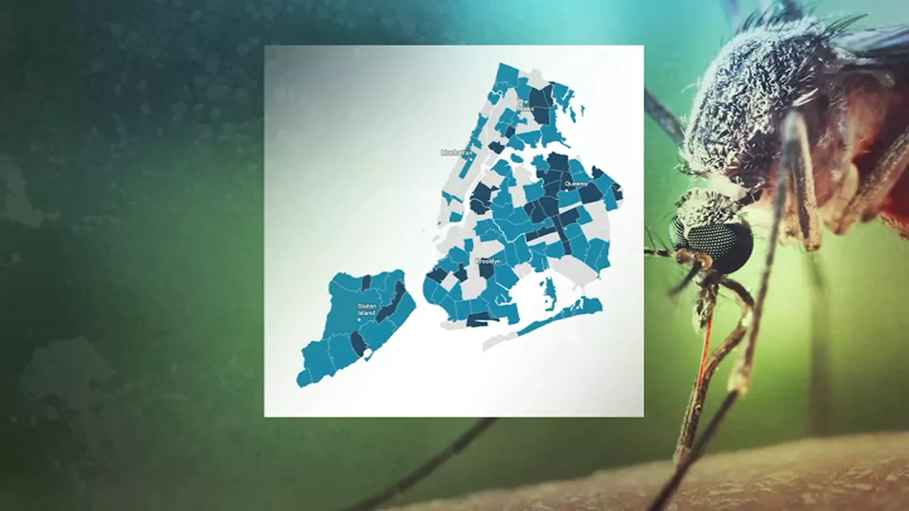 NYC West Nile virus map 2024: See where mosquitoes have tested positive