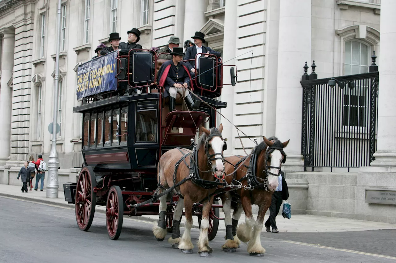 Calls for 'crazy' horse and carriage law to be updated