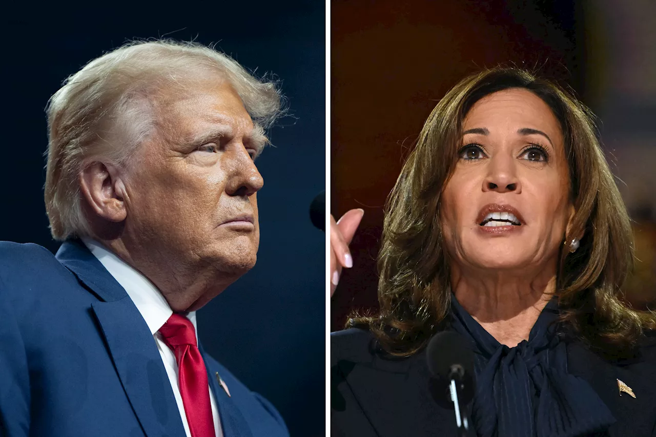 Donald Trump Gives Update on Debates With Kamala Harris