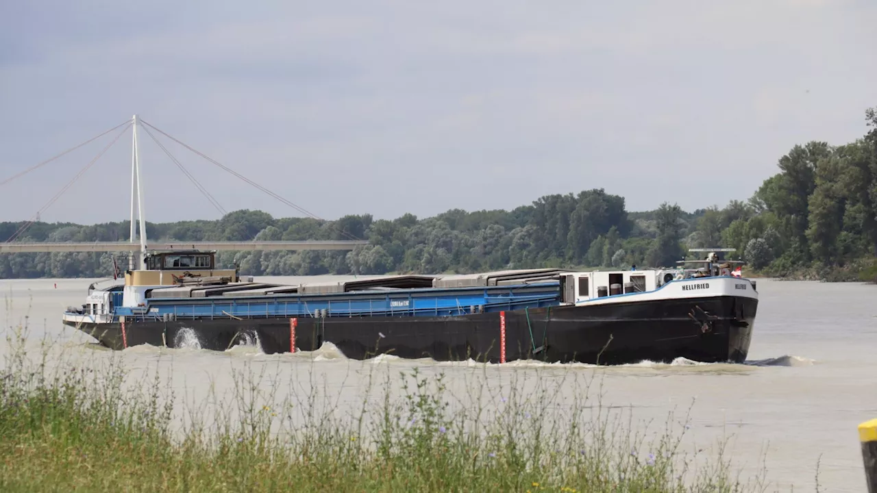 2023 herrschte viel Verkehr auf der Donau zwischen Wien und Wolfsthal