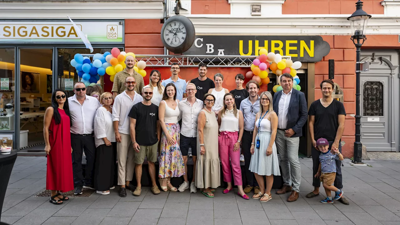 Premiere des Grätzlfests in Wiener Neustadt