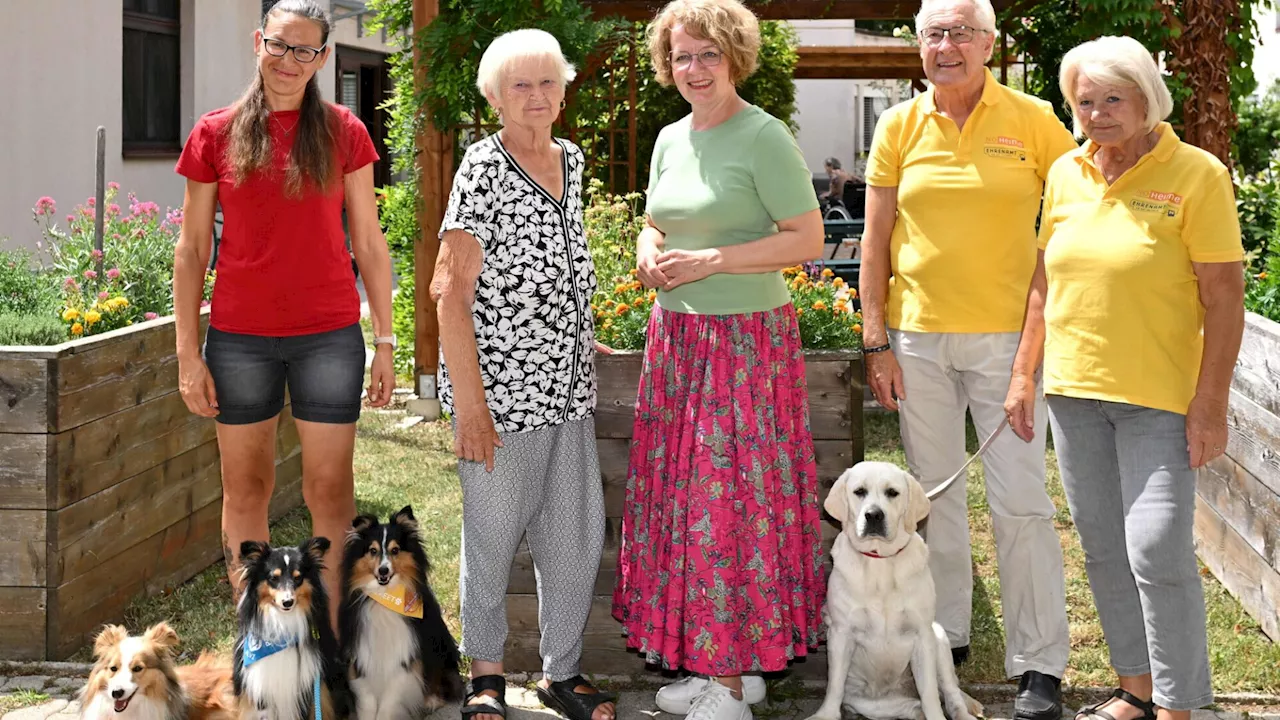 Rory, Peet, Alvi und Peki bringen Freude ins Pflegeheim