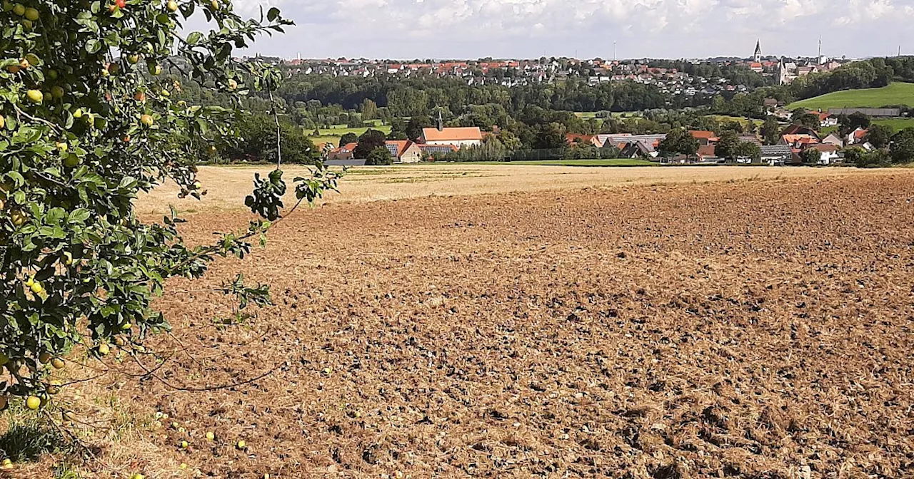 Bei Warburg könnten riesige Solarparks stehen - knapp 38 Fußballfelder groß