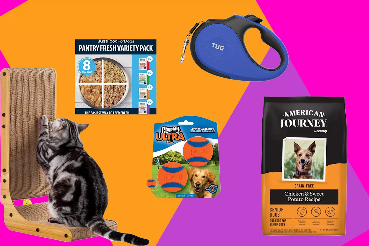 Chewy Labor Day sale 2024: Get pet food, treats, more starting at $4