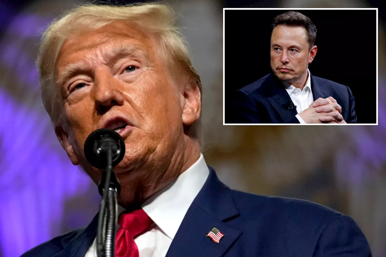 Elon Musk leads parade of tech titans boosting Trump as the true 'freedom candidate'