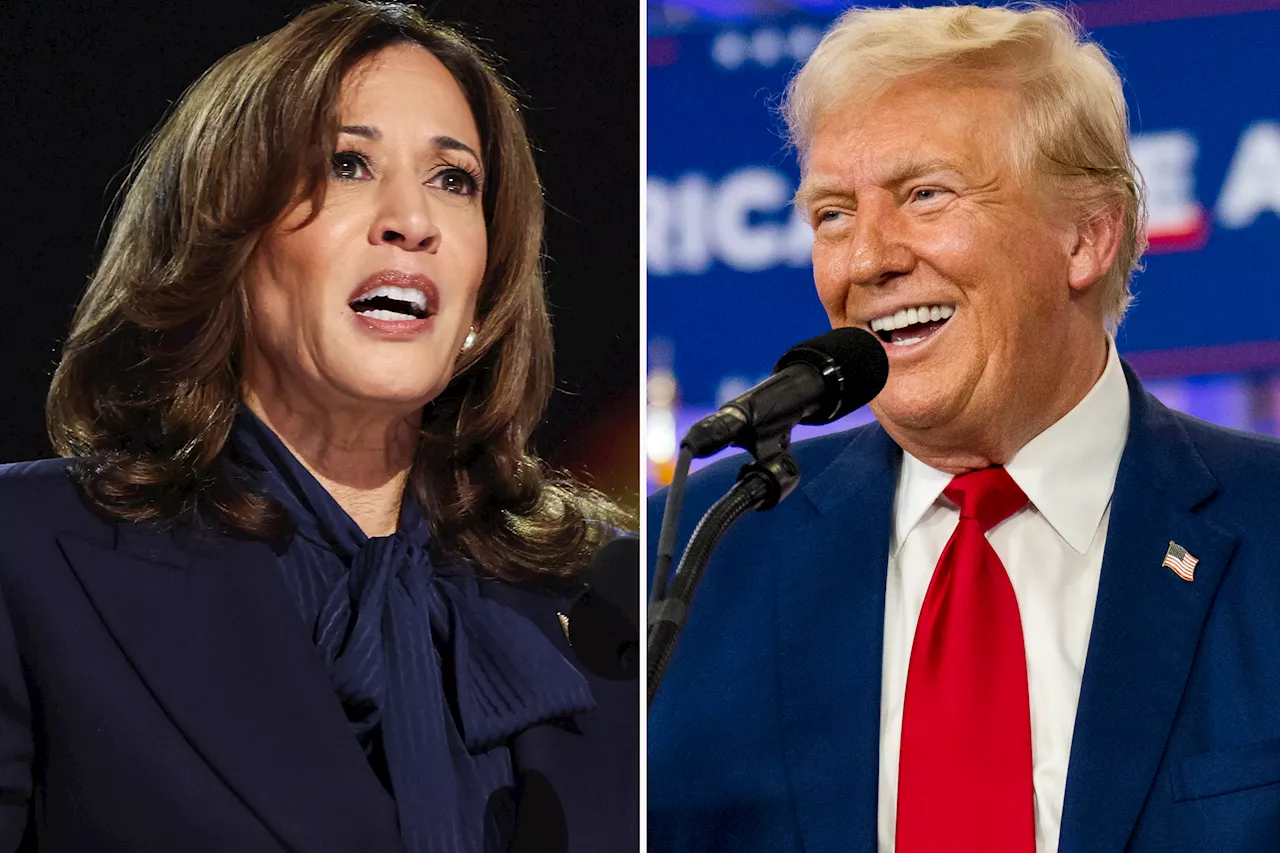 Poll: Harris holds edge over Trump in Michigan; voters still undecided