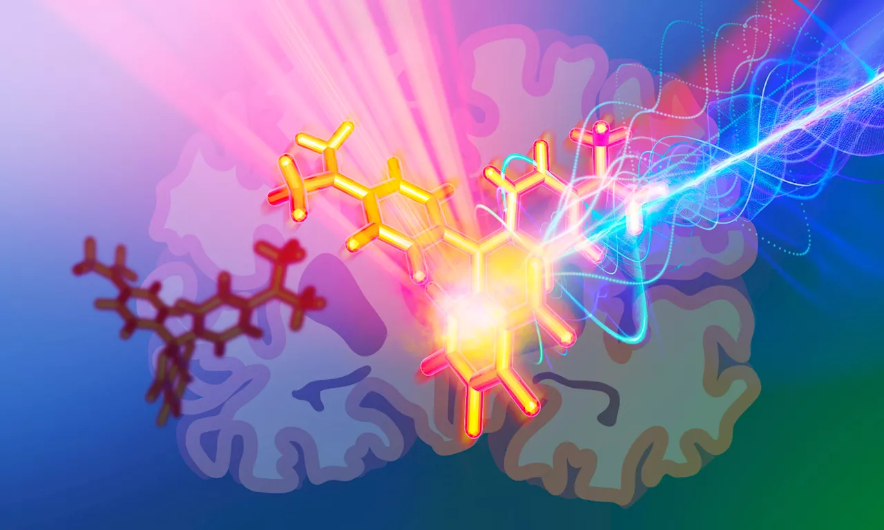 New photoacoustic probes enable deep brain tissue imaging, with potential to report on neuronal activity