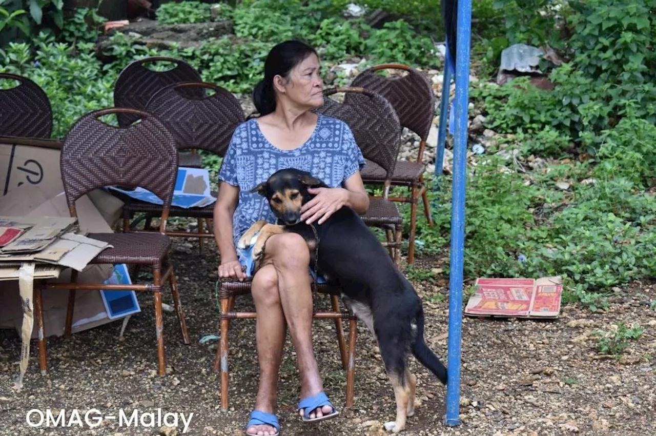 Boracay residents push to better protect island animals