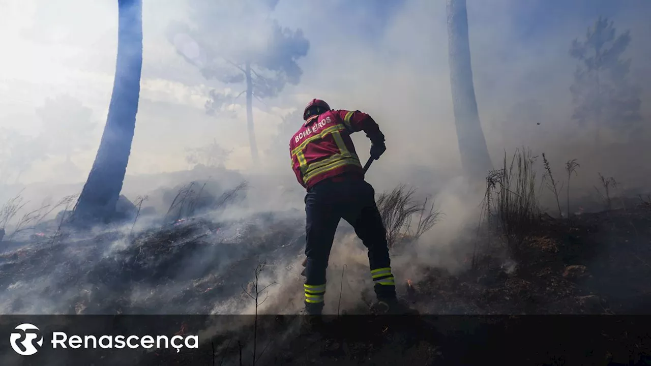 GNR detém suspeito de provocar o incêndio no concelho de Portalegre