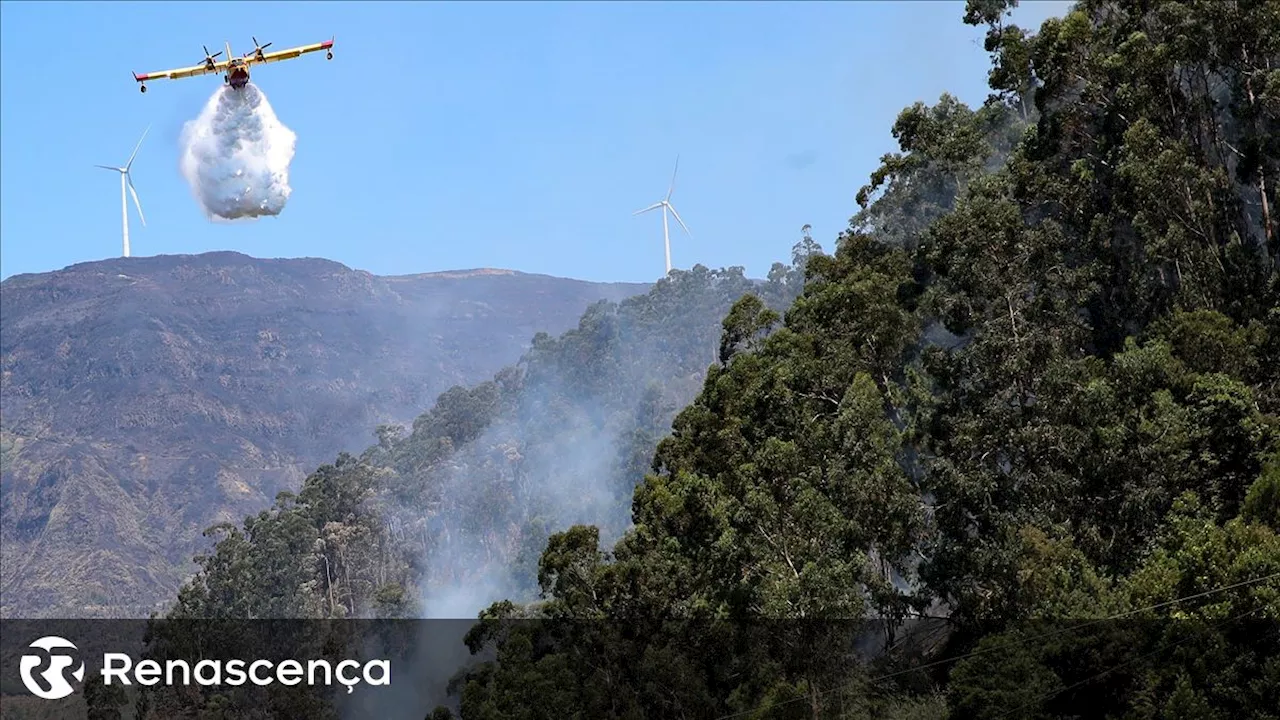 Incêndio na Madeira “foi desvalorizado numa fase inicial”, diz sindicato dos trabalhadores da floresta