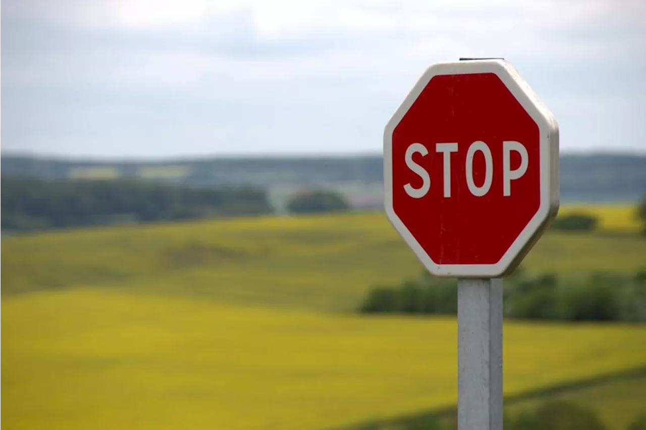 Roads not more dangerous when cyclists allowed to roll through stop signs, researchers suggest