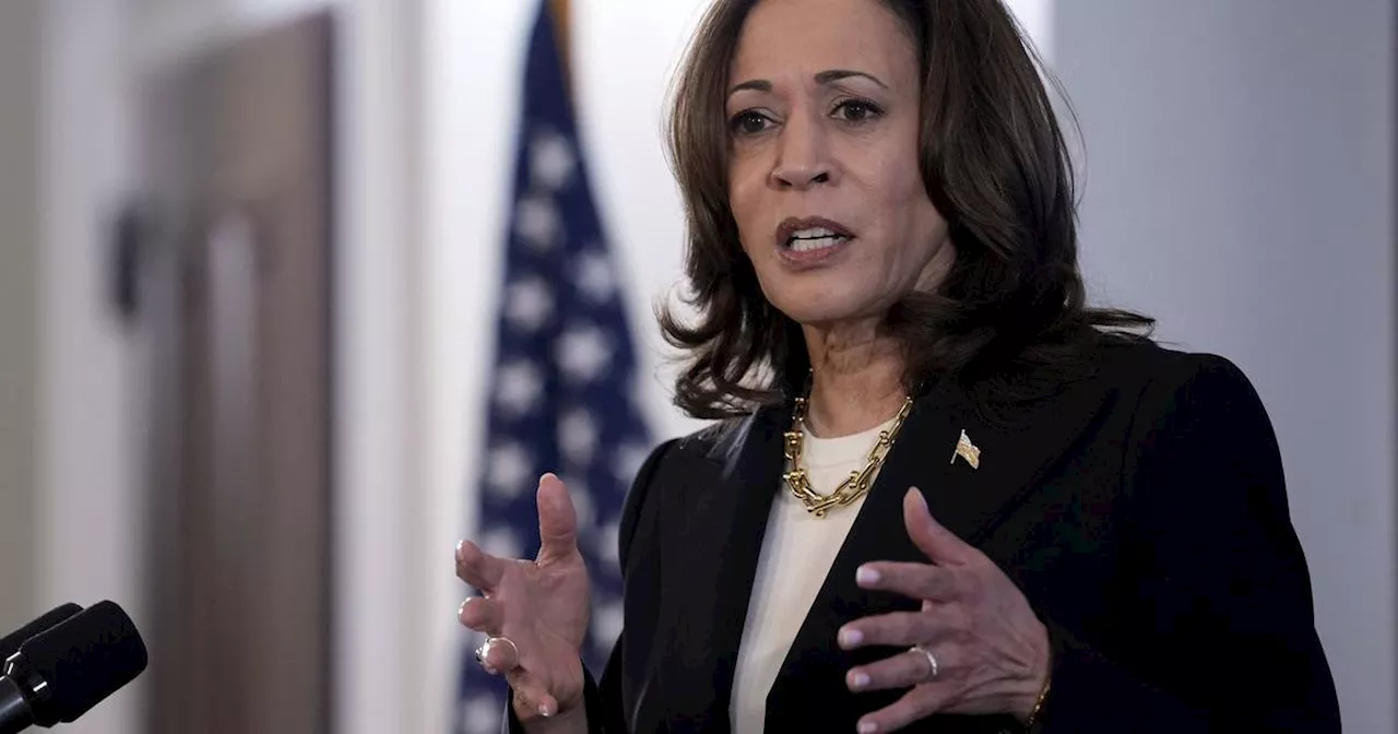 US-Wahlkampf: Über 200 Angestellte werben für Kamala Harris