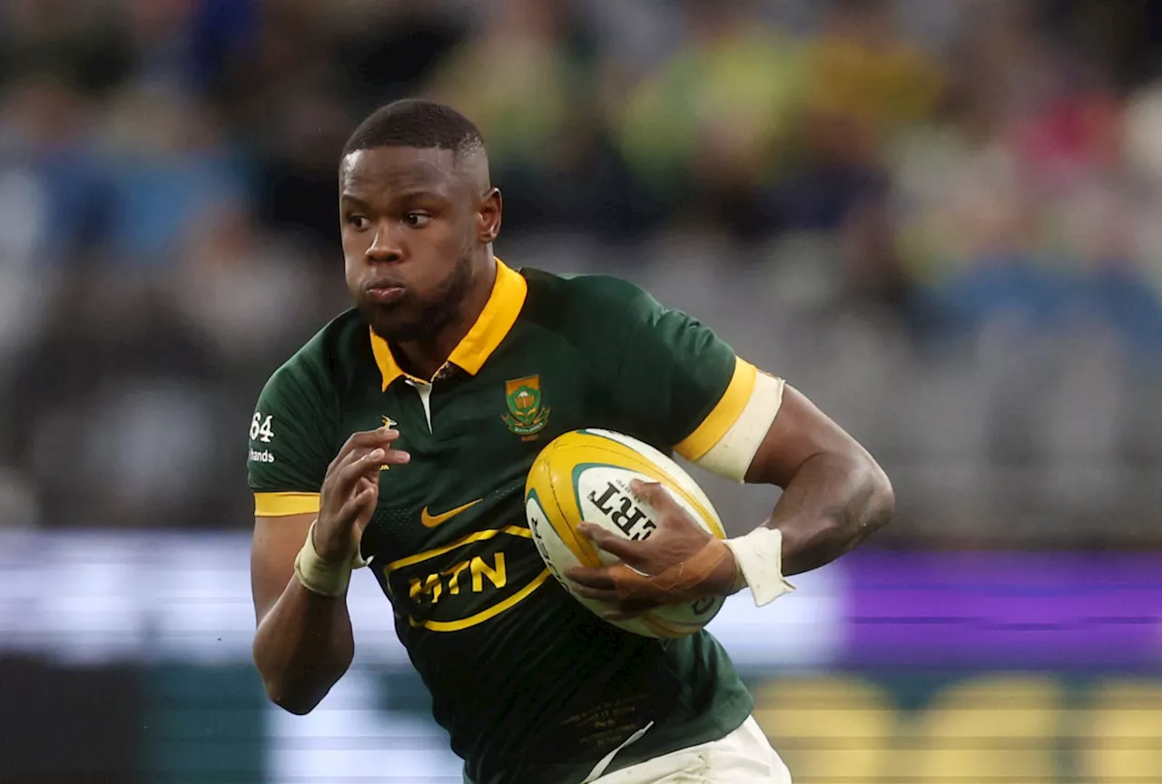 Boks back Fassi to fly against All Blacks