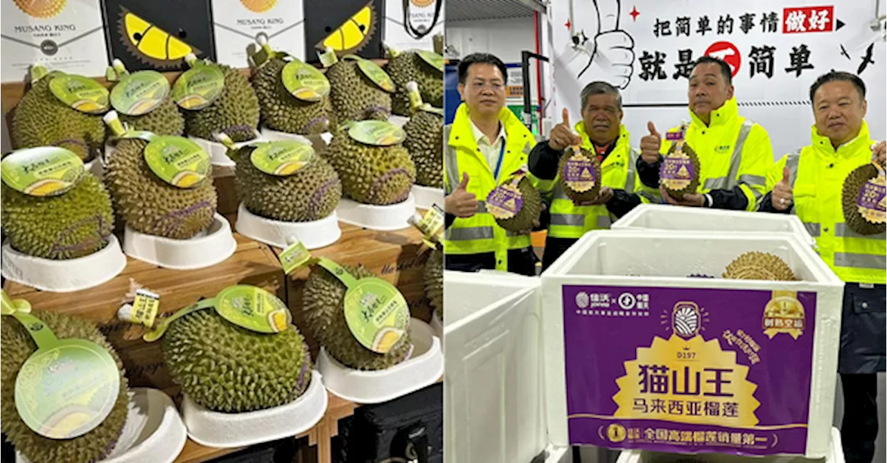 Not Just Frozen: Fresh Malaysian Durians Go On Sale In China For The First Time Ever