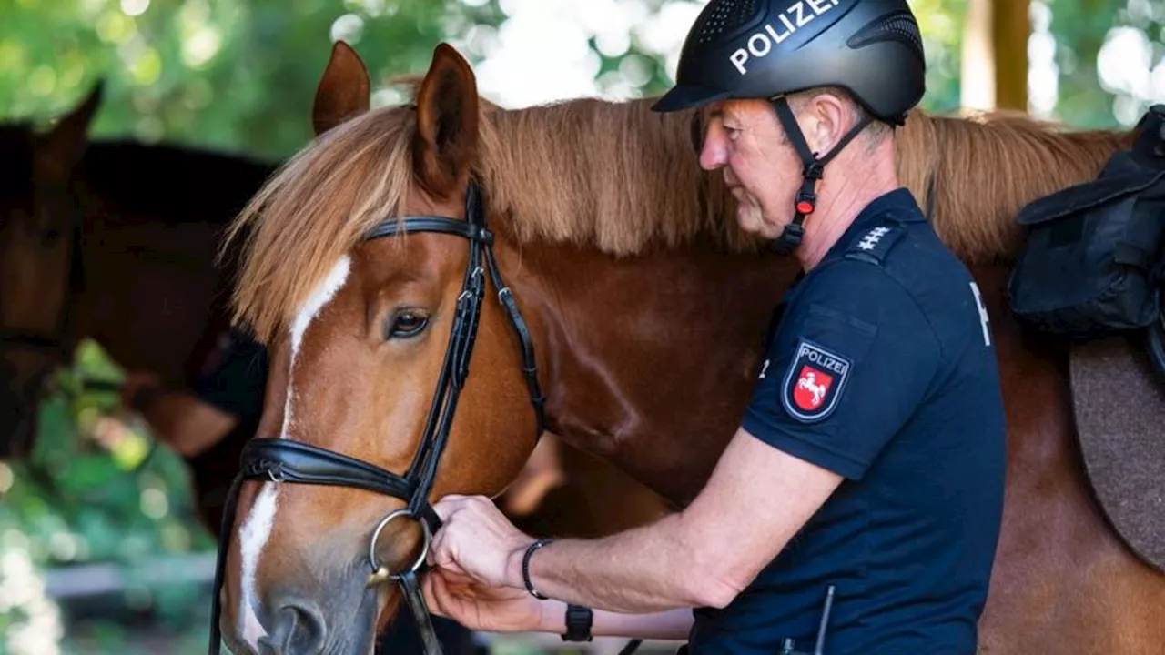 Naturschutz: Viel Arbeit für Polizeireiter in der Lüneburger Heide