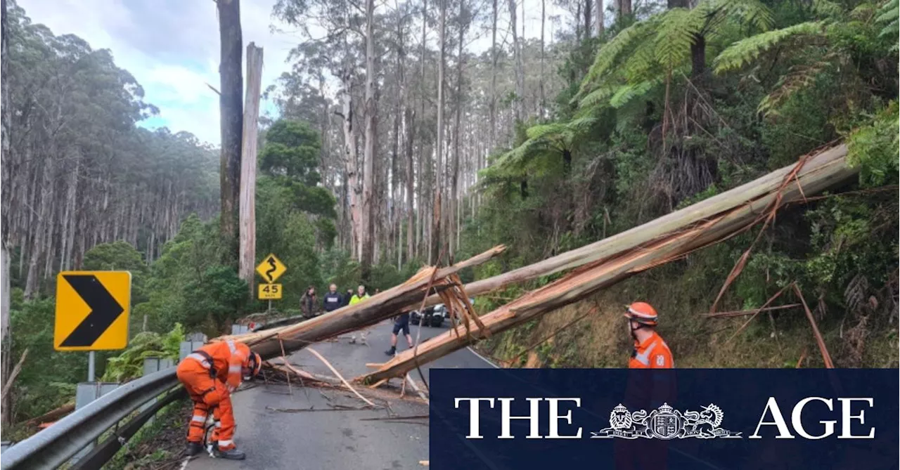 Batten down the hatches: Strongest cold front this winter set to lash Victoria