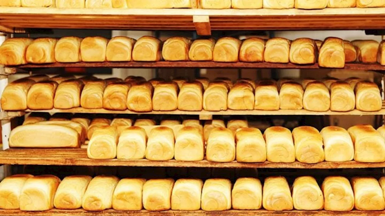 Bakers deny using substandard materials for bread production