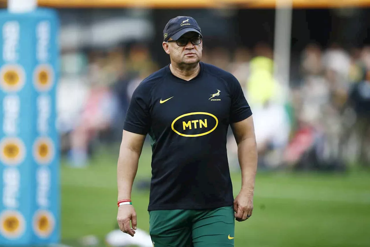 Springboks could back youngsters against All Blacks — Davids