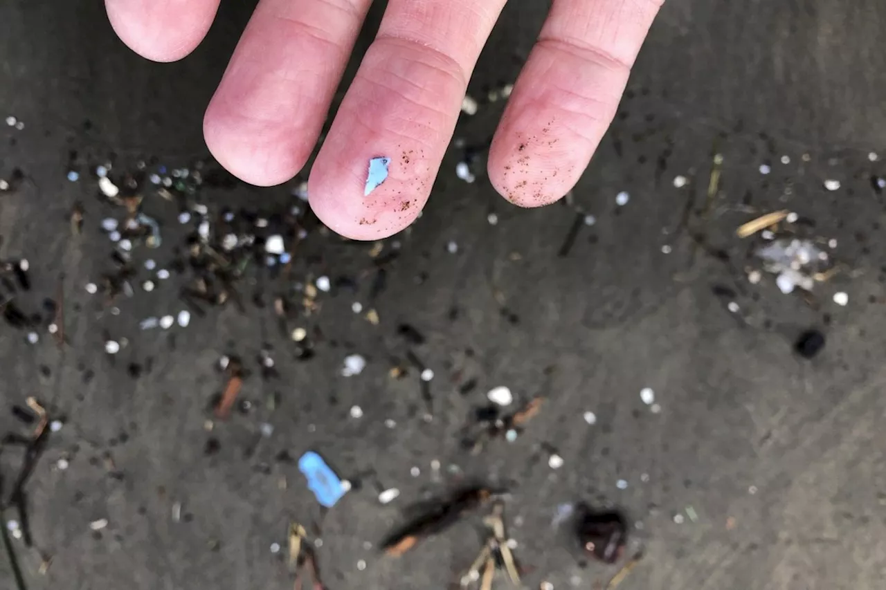How much microplastic is in your coffee? New device by UBC researchers could tell you