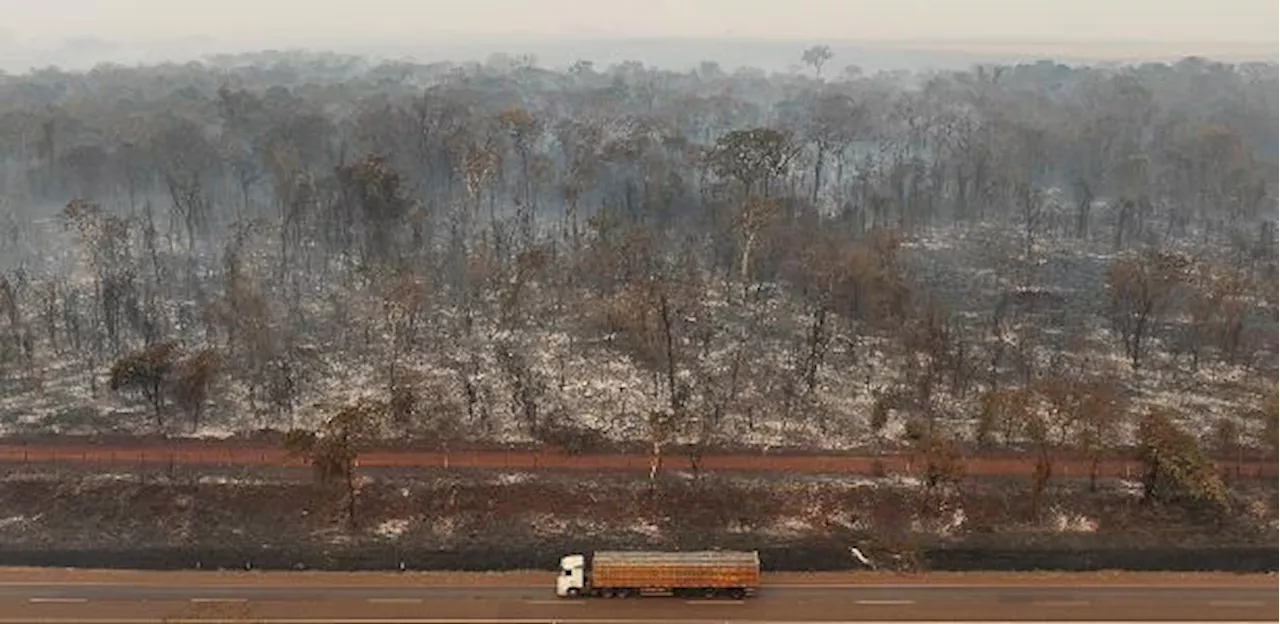 Em três dias de fogo, 200 municípios de São Paulo registraram queimadas